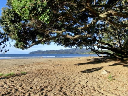 whangarei (29)